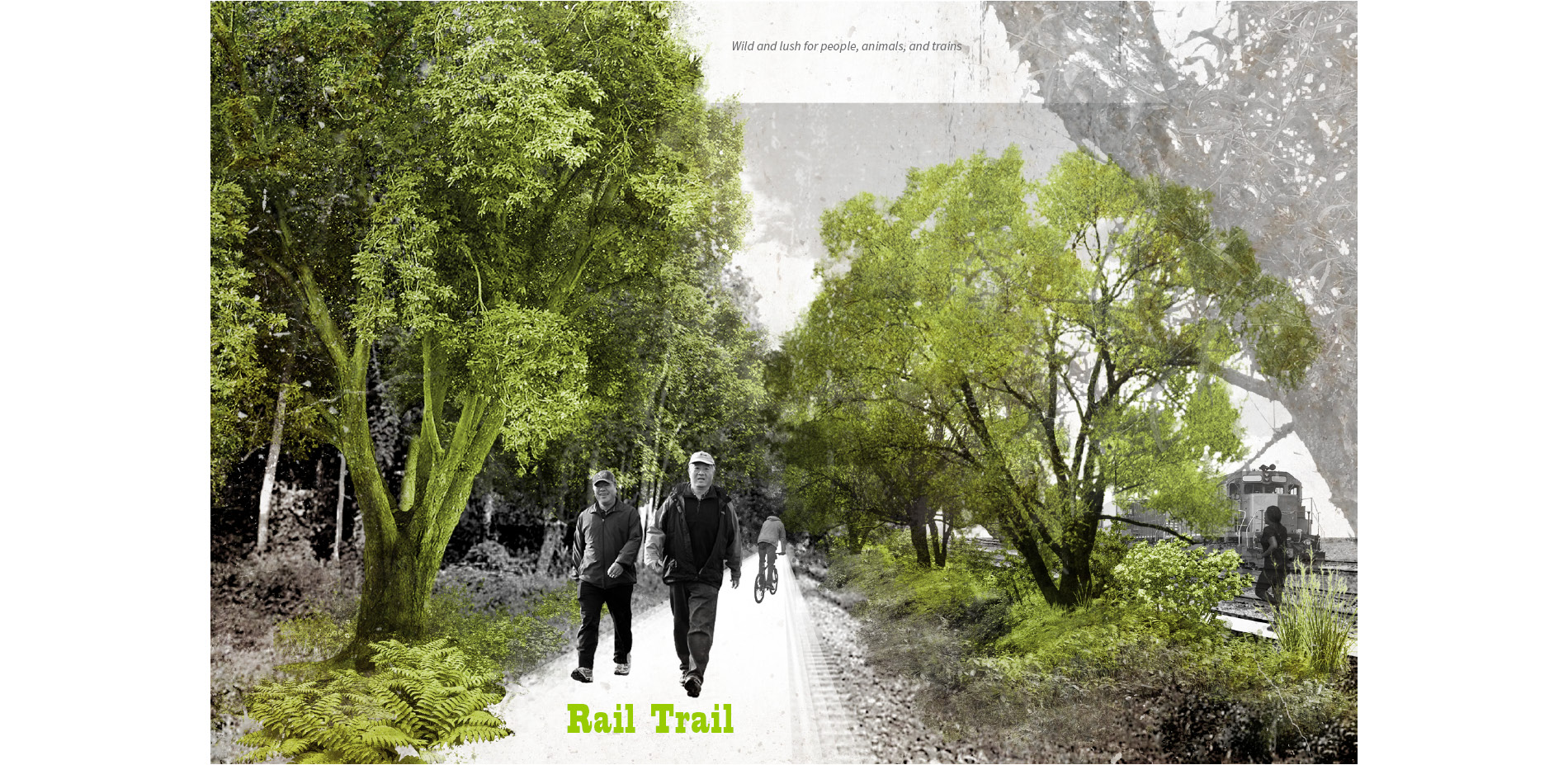 Rail Trail Hedgerow